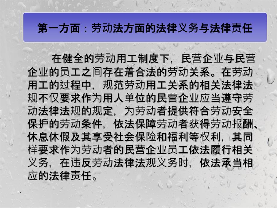 民营企业工作人员法律义务与法律责任_第4页