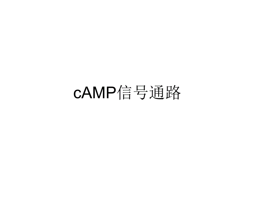 cAMP信号通路_第1页