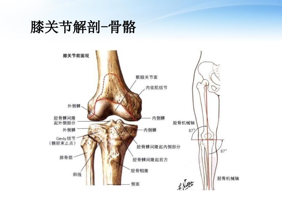 偏瘫患者膝过伸的预防ppt参考课件_第3页