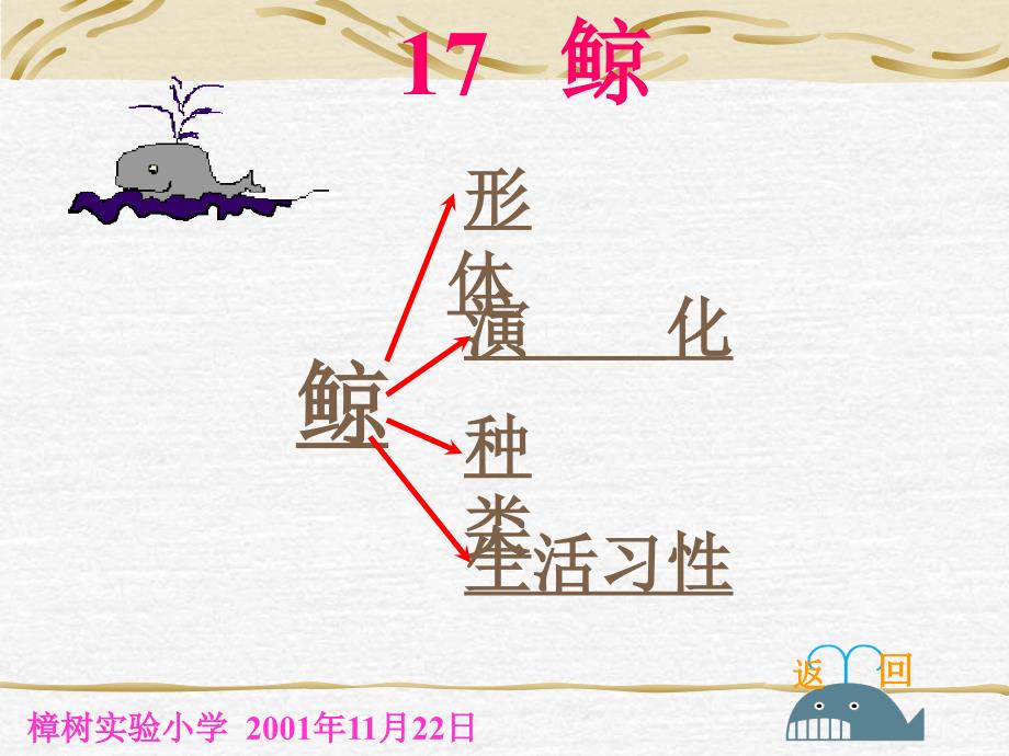 人教版小学语文五年级上册《鲸》PPT课件_第2页