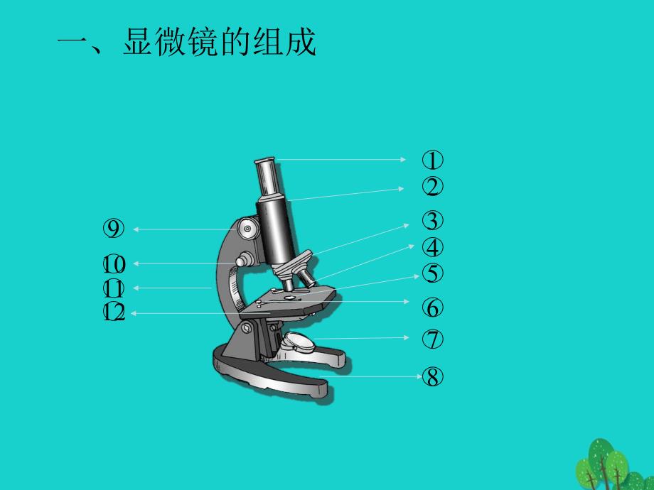 第一章--开启生物科学之门复习ppt课件_第4页