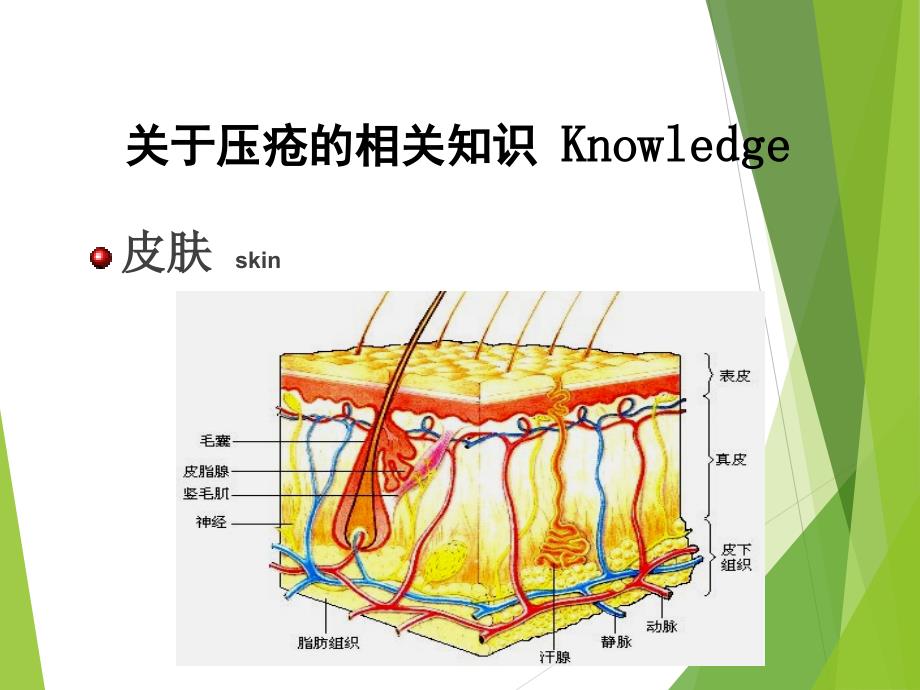 手术患者的压疮预防_第3页