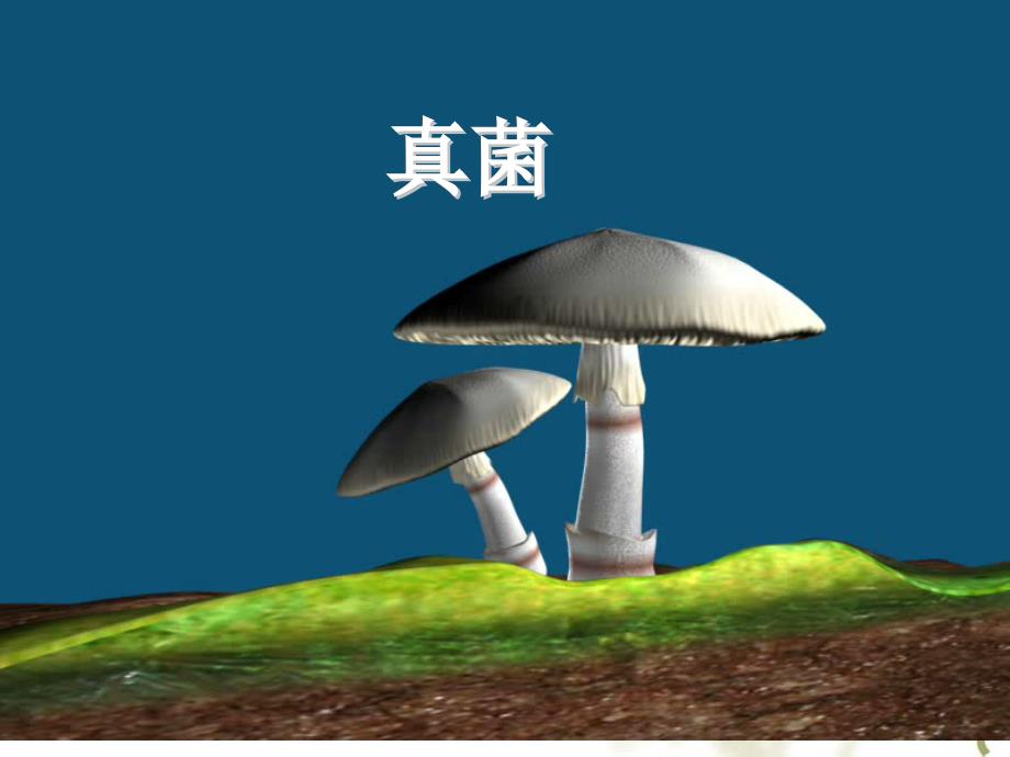 八年级生物《真菌》课件_第1页