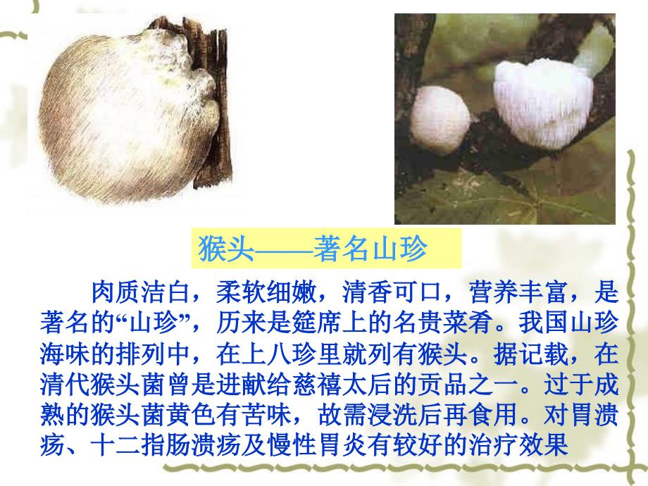 八年级生物《真菌》课件_第4页