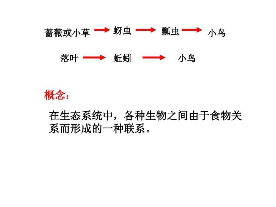 八年级生物下：第六单元第一章第二节食物链和食物网课件济南版_第5页