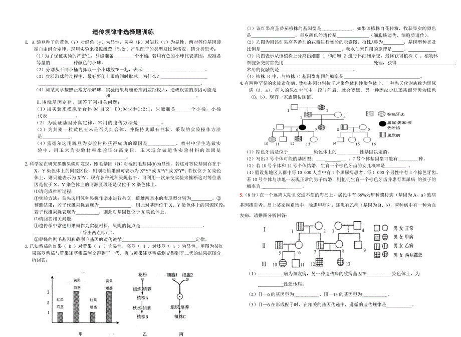 遗传规律非选择题训练_第1页