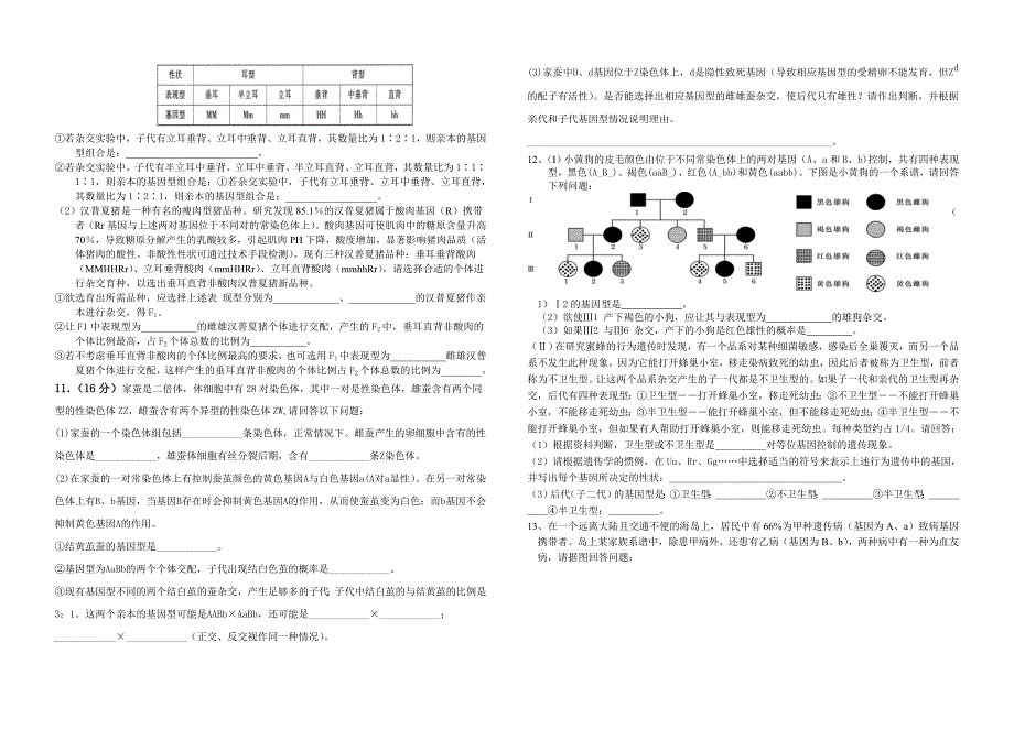 遗传规律非选择题训练_第3页