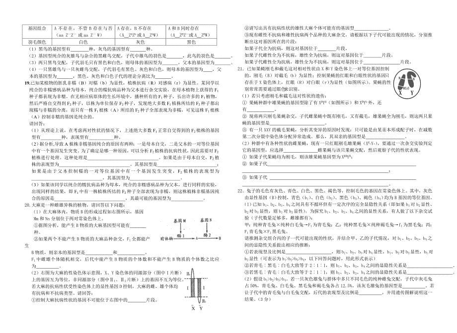 遗传规律非选择题训练_第5页