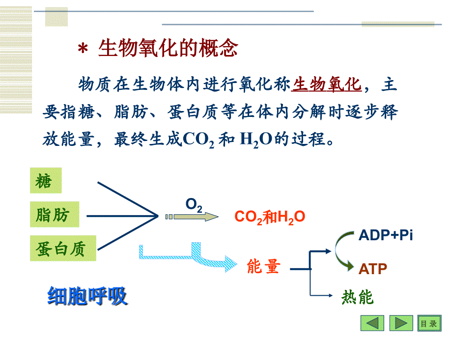 第06章生物氧化7版_第2页