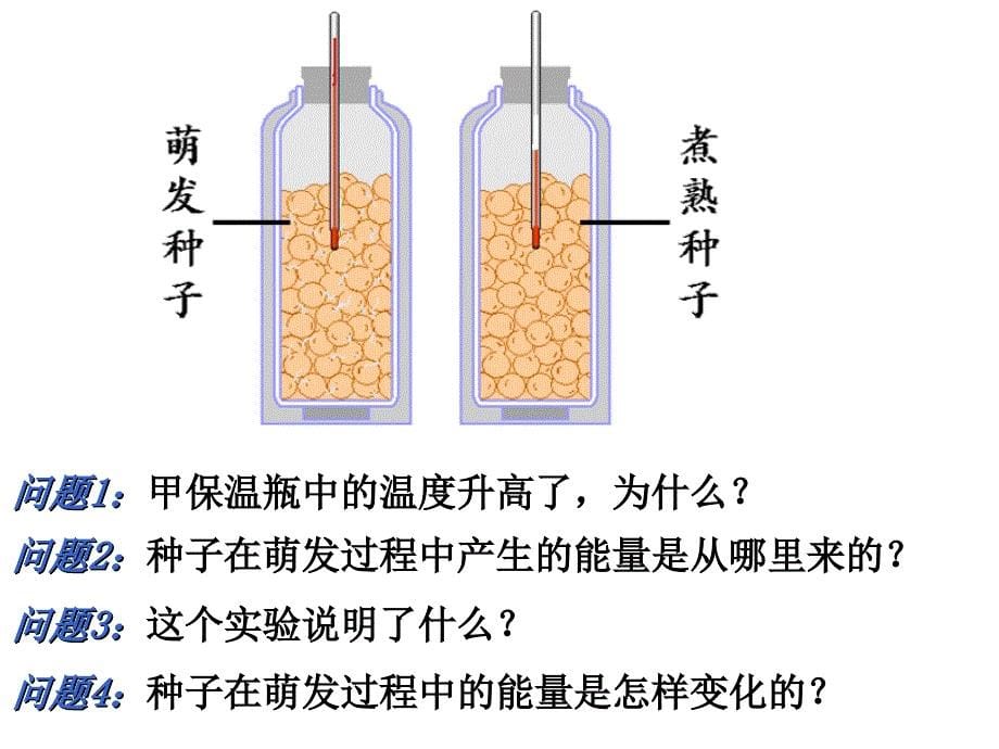 绿色植物的呼吸作用吕中肖鹏2_第5页