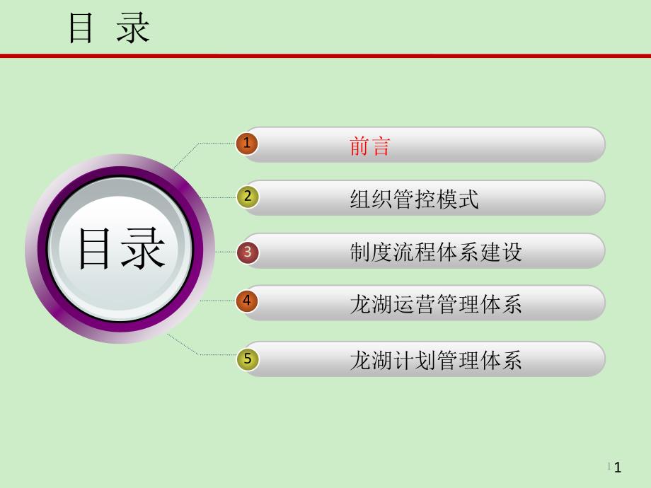 XXXX计划运营龙湖项目运营管理体系与房地产异地多项_第1页