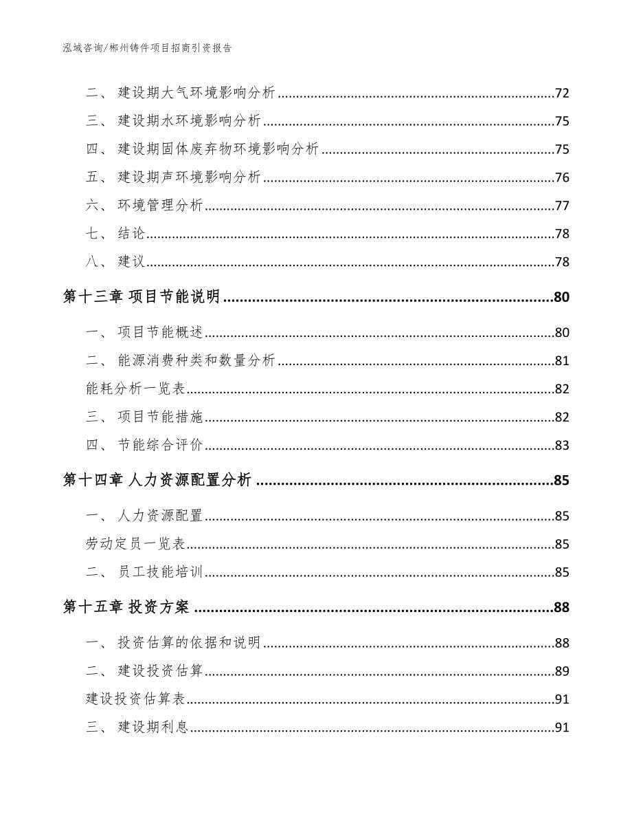 郴州铸件项目招商引资报告_范文模板_第5页