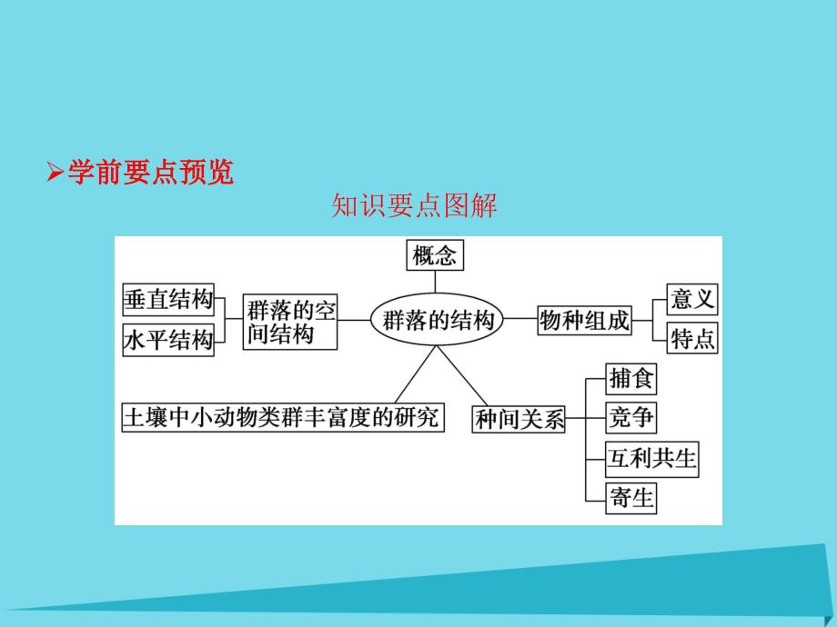 高中生物 4.3 群落的结构课件 新人教版必修3_第2页