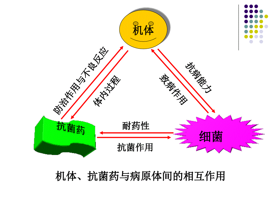 细菌感染性疾病的药物治疗_第4页