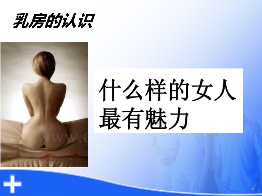 乳腺知识ppt课件_第4页