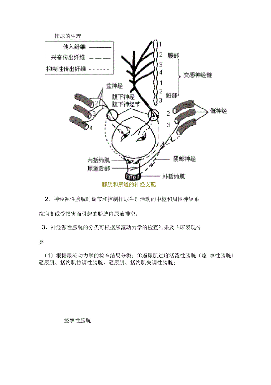 排尿障碍评定_第2页