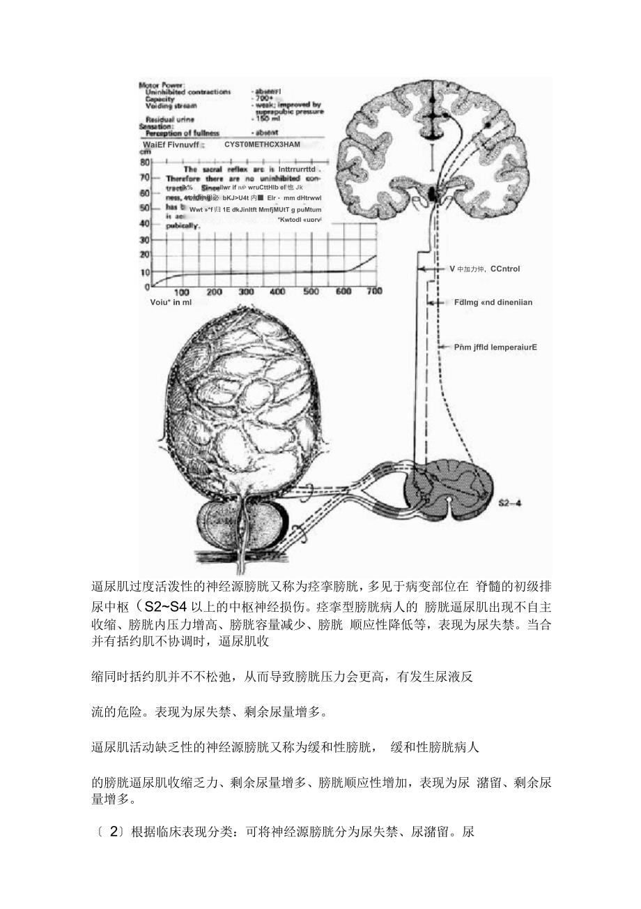 排尿障碍评定_第4页