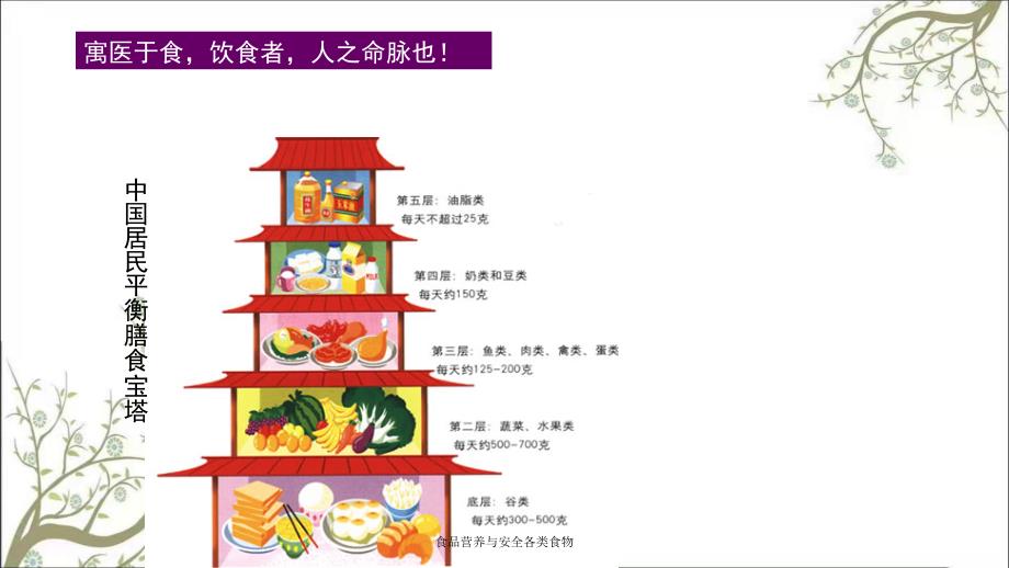 食品营养与安全各类食物_第2页