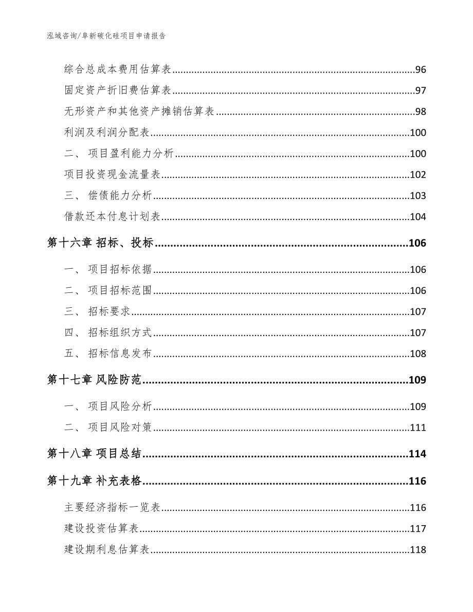 阜新碳化硅项目申请报告_参考模板_第5页