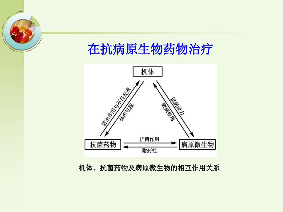 第34章抗菌药物概论_第4页