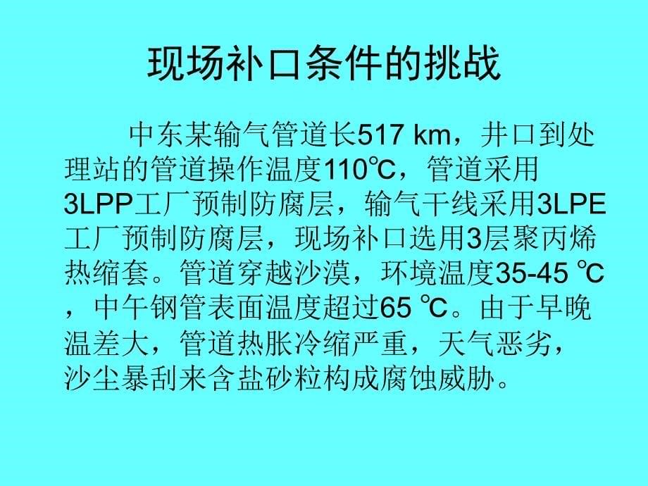 管道防腐层补口技术标准和施工规程课件_第5页