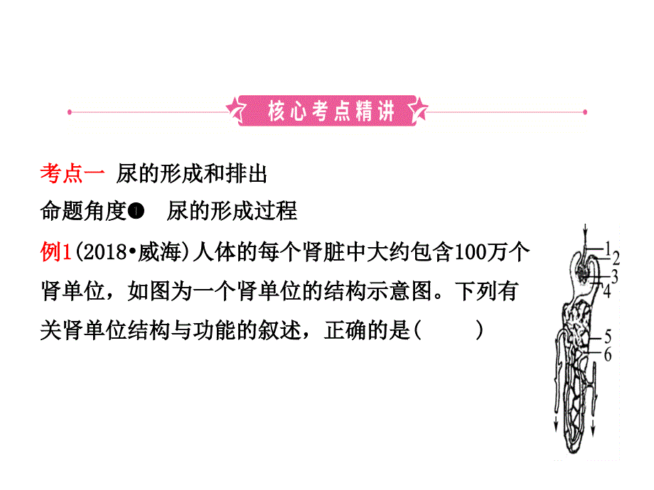 13第四单元 第五章_第2页