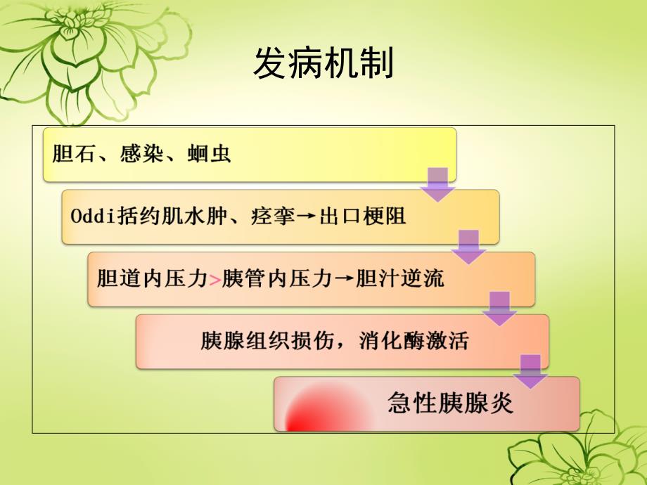 胆源性胰腺炎课件_第4页