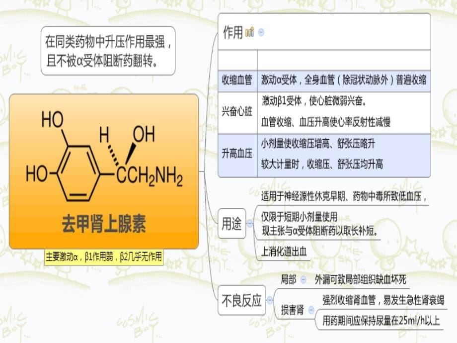 【课件】家兔心血管活动的神经体液调节及药物_第5页