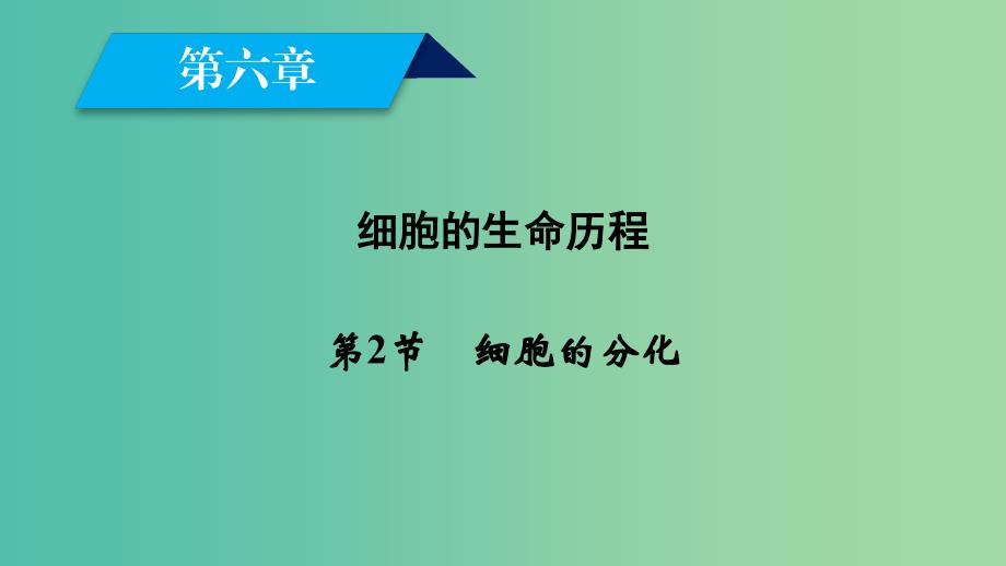 2019版高中生物 第六章 细胞的生命历程 第2节 细胞的分化课件 新人教版必修1.ppt_第2页