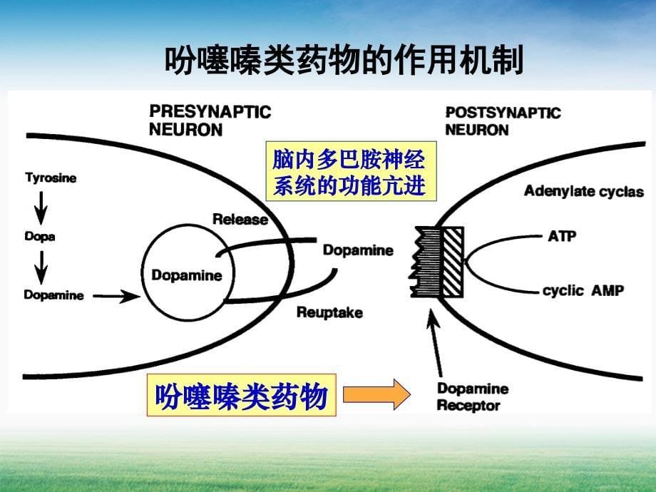 吩噻嗪类抗精神病药物的分析课件_第5页