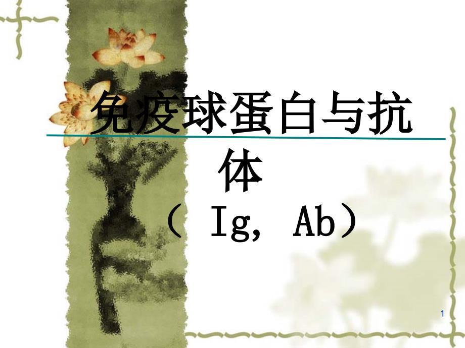 免疫球蛋白与抗体PPT课件