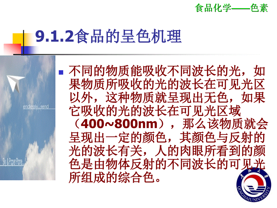 食品化学——色素课件.ppt_第4页