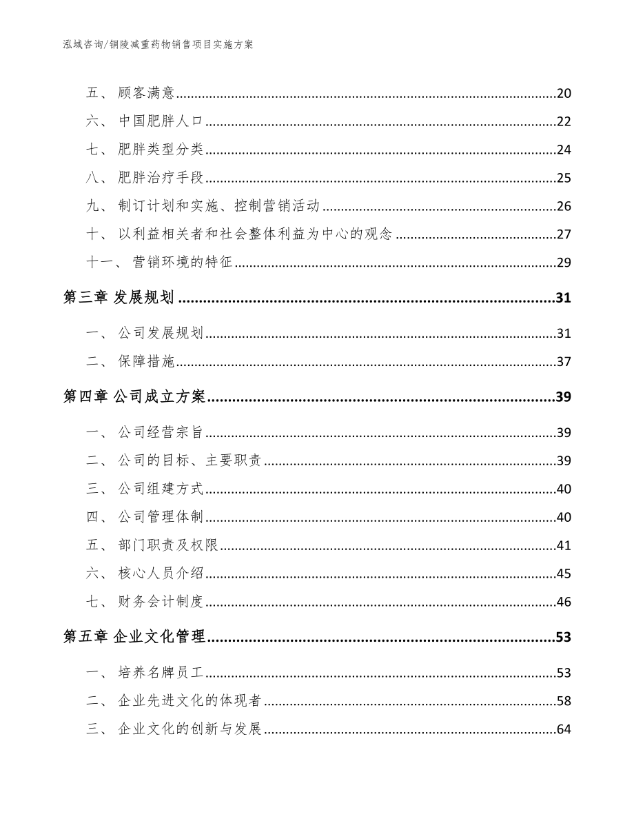 铜陵减重药物销售项目实施方案【范文模板】_第3页