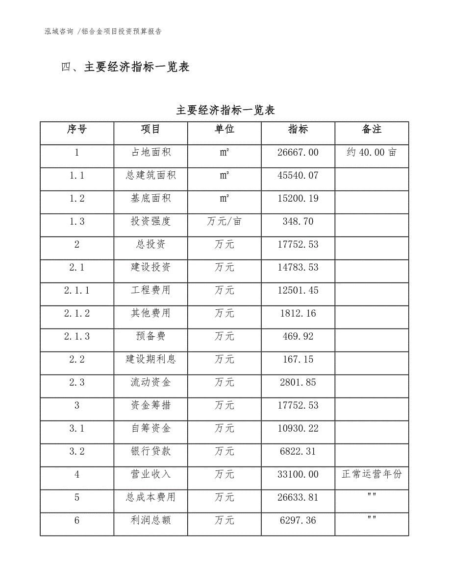 铝合金项目投资预算报告_第5页