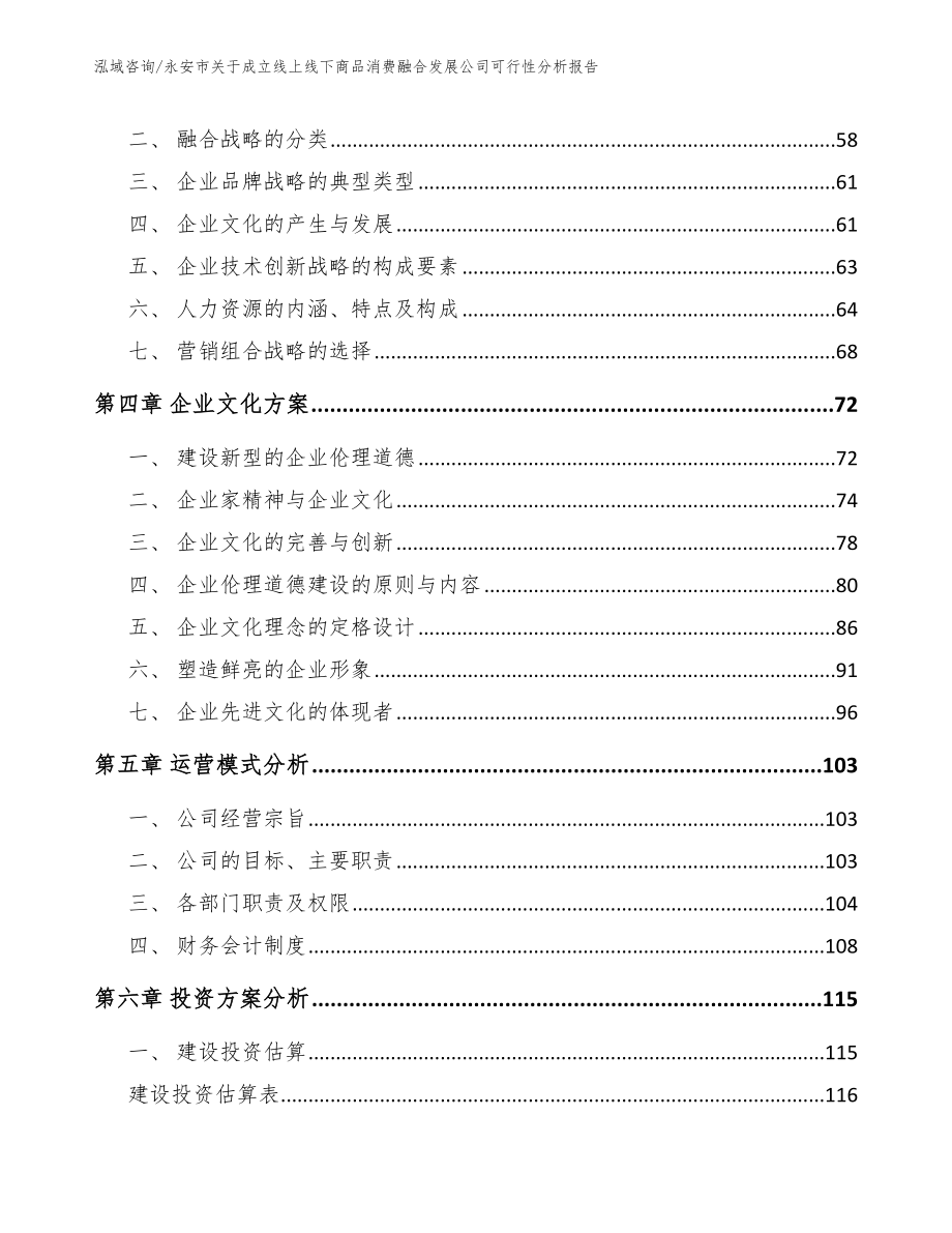 永安市关于成立线上线下商品消费融合发展公司可行性分析报告_第2页