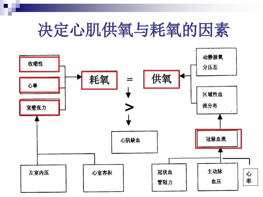 药理学：抗心绞痛药 (2)_第5页