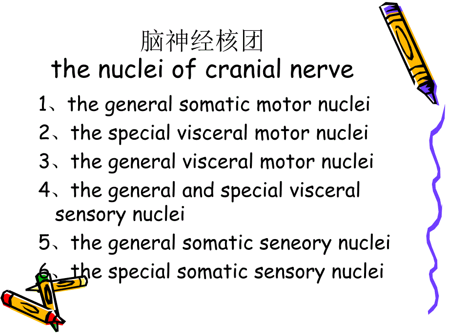 脑干的内部结构文档资料_第1页