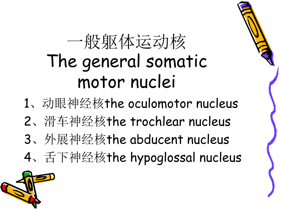 脑干的内部结构文档资料_第3页