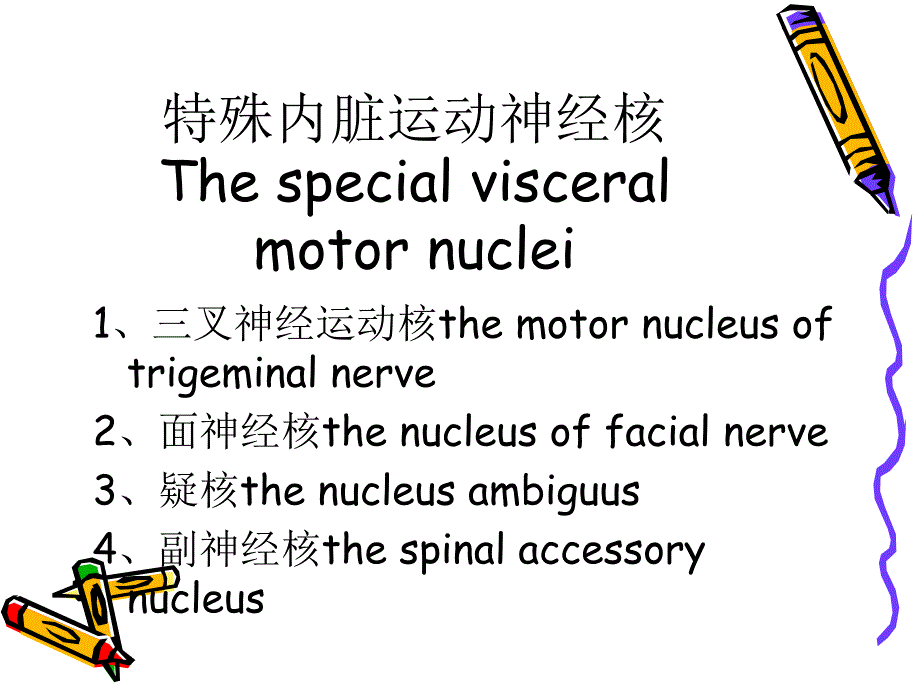 脑干的内部结构文档资料_第4页