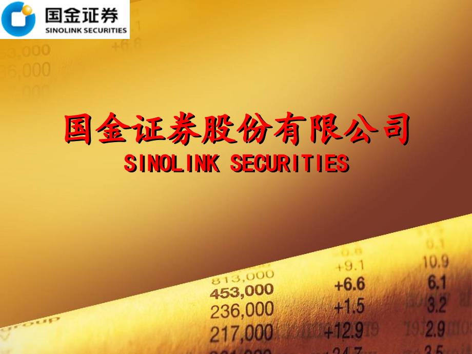 国金证券股份有限公司SINOLINKSECURITIES_第1页