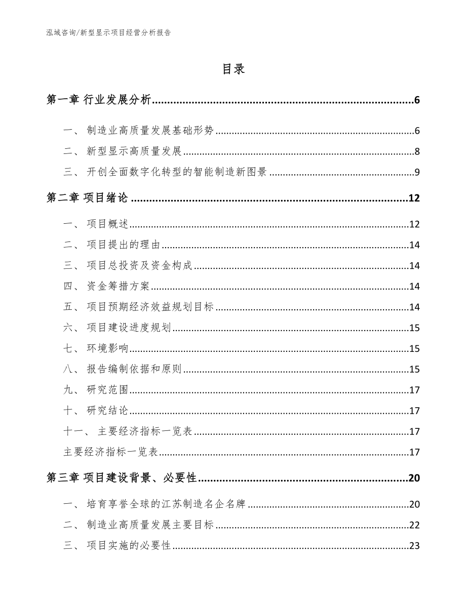 新型显示项目经营分析报告范文参考_第1页