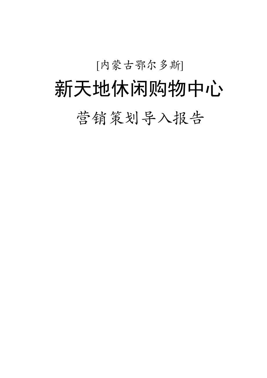 内蒙古鄂尔多斯新天地商业地产营销报告总结_第1页