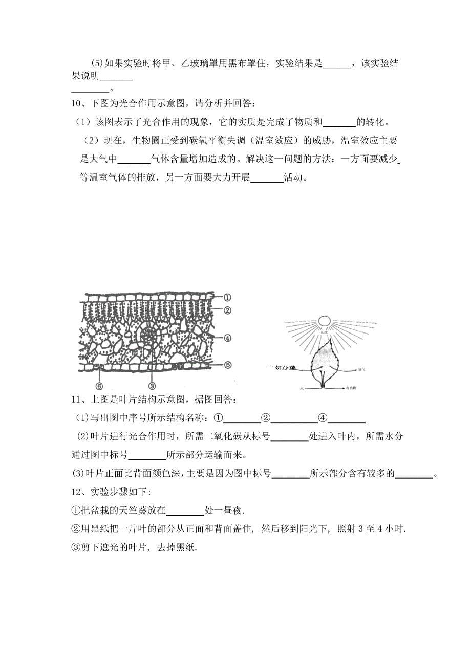 人教版初中生物识图专题(整理版)_第5页