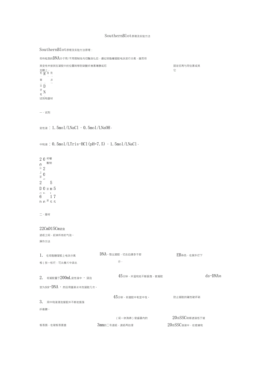 Southernblot实验方法和操作步骤_第1页