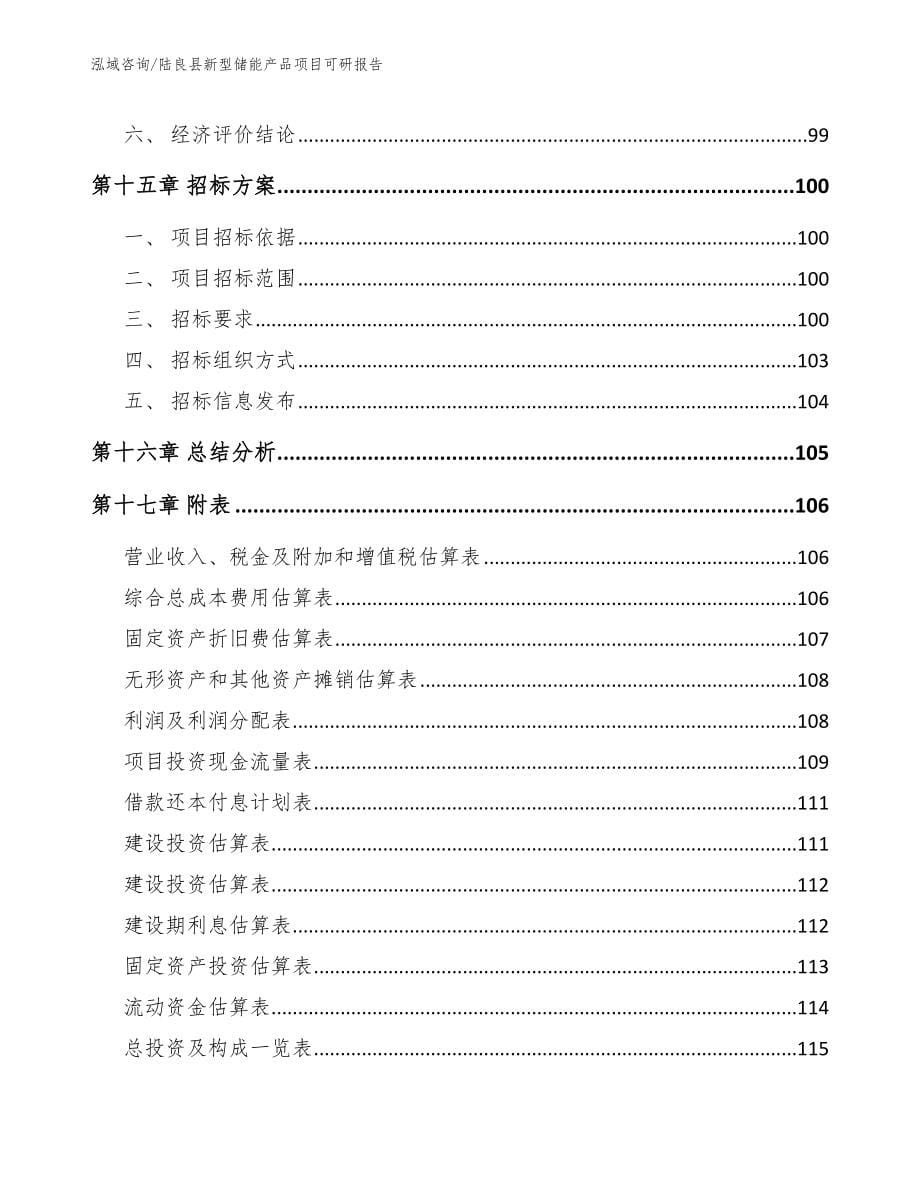 陆良县新型储能产品项目可研报告_第5页