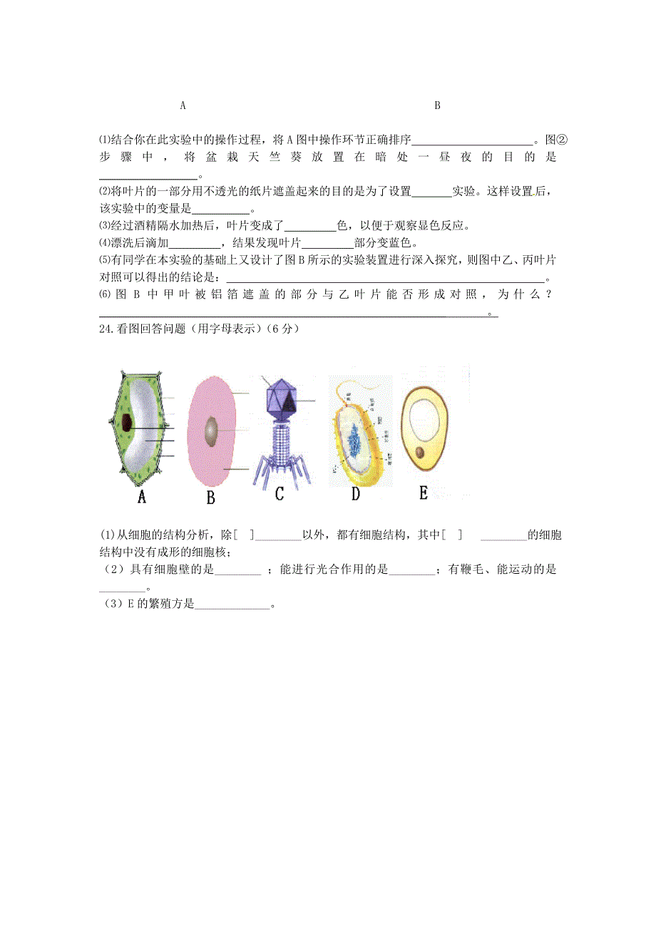 山东省单县希望初级中学九年级生物上学期第一次月考试题无答案_第4页