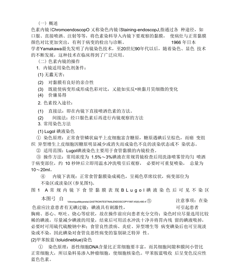 放大内镜色素内镜_第1页