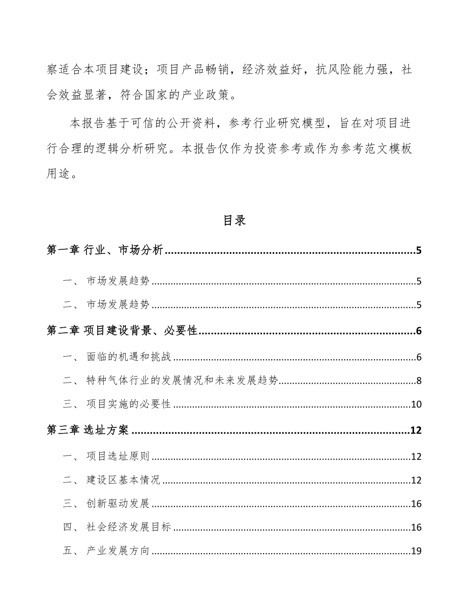 安徽特种气体项目可行性研究报告_第2页