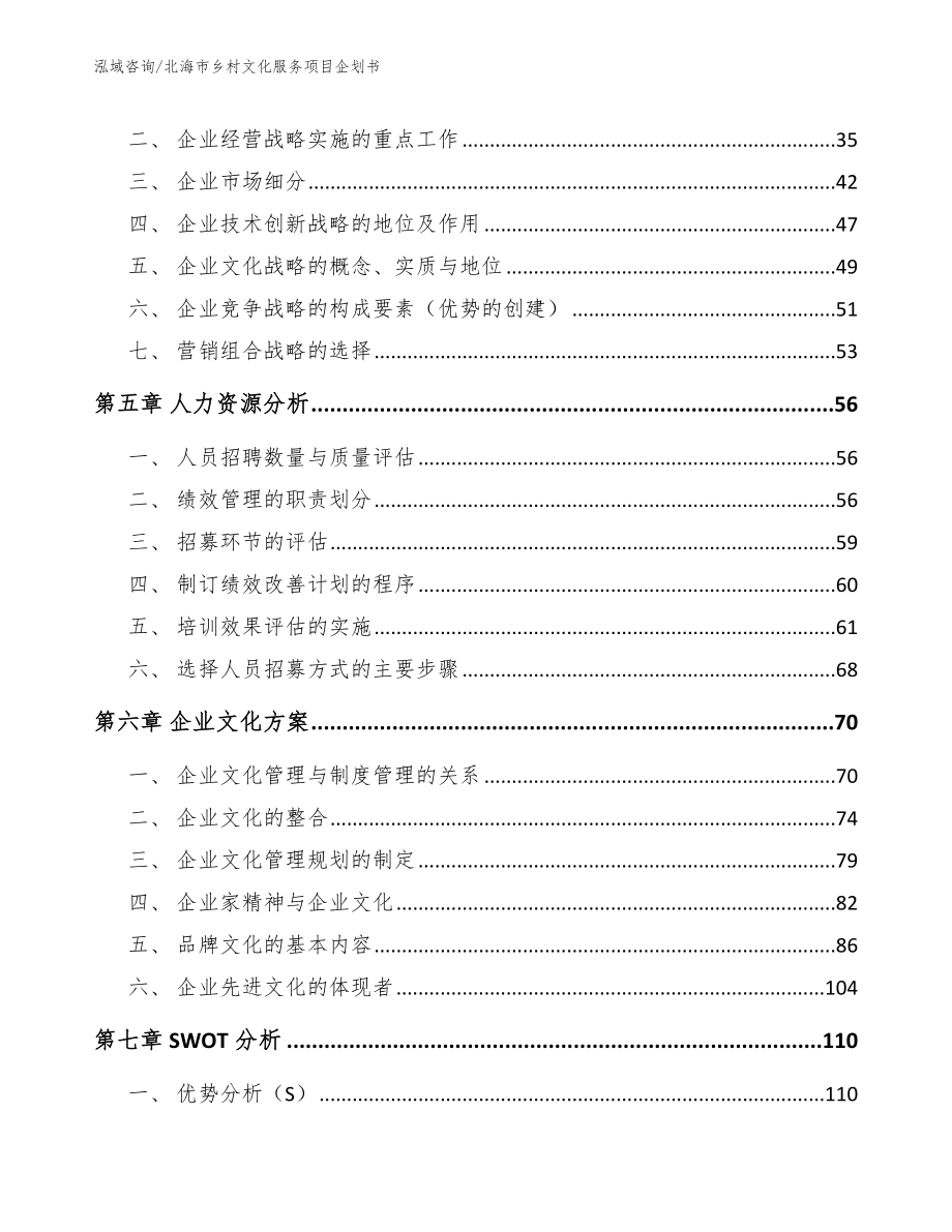 北海市乡村文化服务项目企划书_第2页