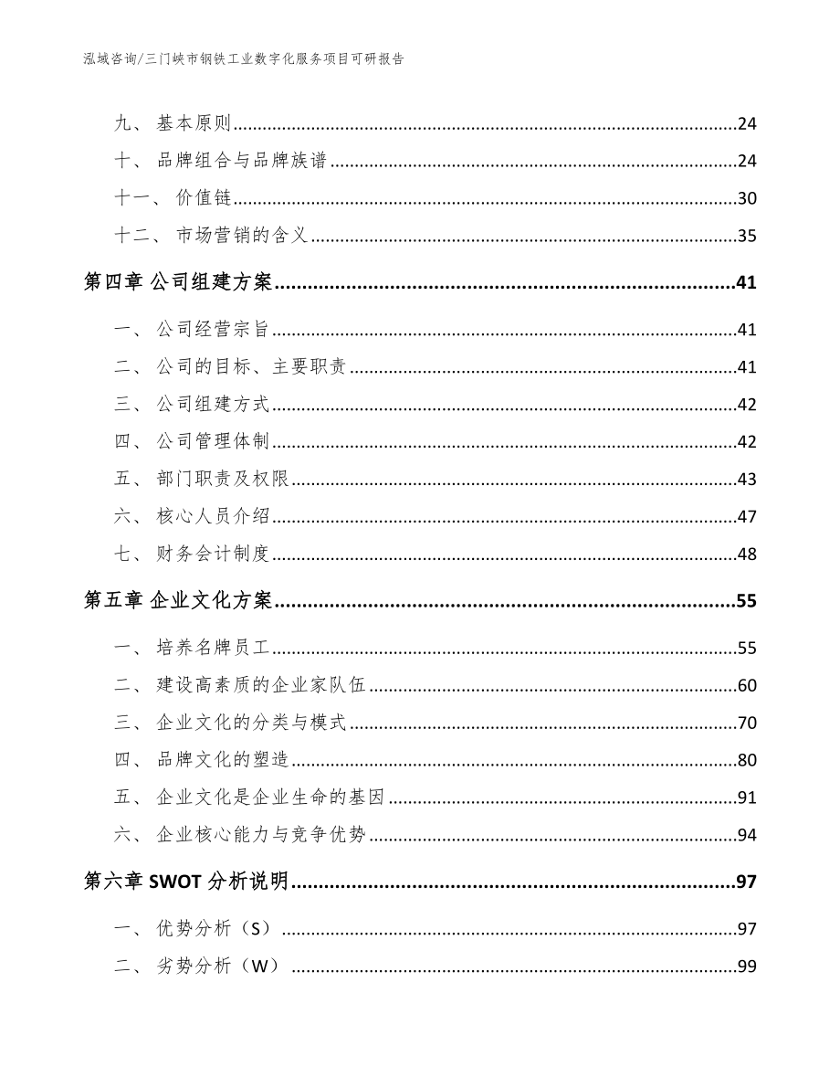 三门峡市钢铁工业数字化服务项目可研报告（范文模板）_第2页